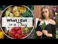 VEGAN WHAT I EAT IN A DAY (Half Term edition!)