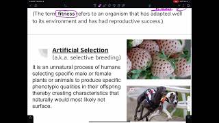 Microevolution and Genetic Drift Explained!!