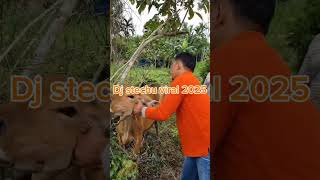 Download Lagu Dj stechu viral 2025 MP3