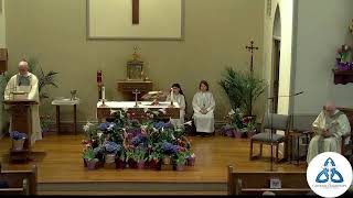 April 12, 2026 Sunday of Divine Mercy