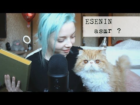 ASMR КНИГА, СТИХИ, ШЕПОТ, КОТ | RUSSIAN READING, BOOK TAPPING, WHISPER ESENIN CAT АСМР