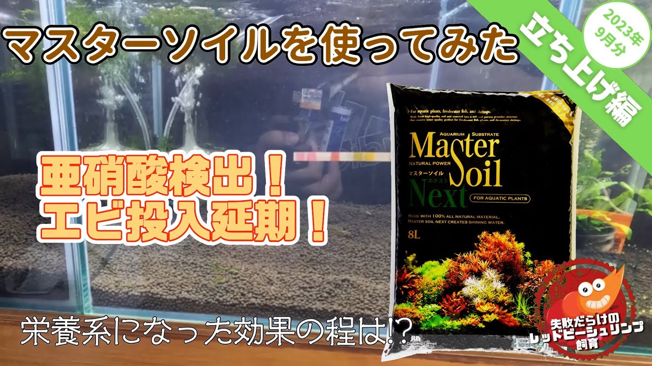 マスターソイルを使ってみた〜経過報告編2023年9月編〜