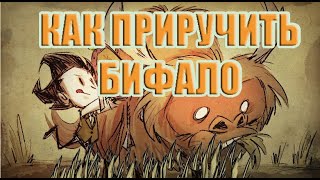 Как ПРИРУЧИТЬ БИФАЛО  в донт старв тугезер