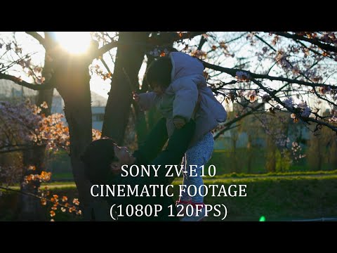 Sony ZV-E10 1080P 120fps / E SEL35F1.8OSS/ Cinematic Footage/Cherry Blossoms