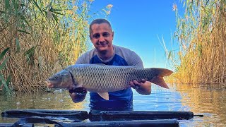 картинка: РИЖІ САЗАНИ затягують у Дніпро 🎣 Дві доби на дикарі 😎