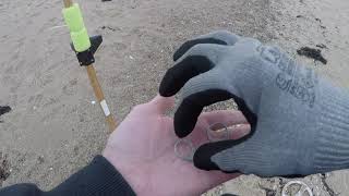 Beach Metal Detecting #6  Mini Pulse Plus PI metal detector