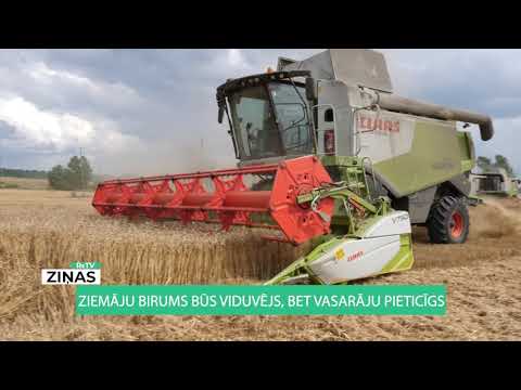 Video: Pieticīgs šedevrs