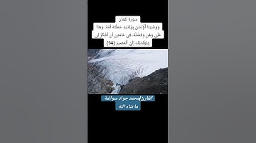 سورة لقمان - آية14: القارئ/محمد جواد سوالمة