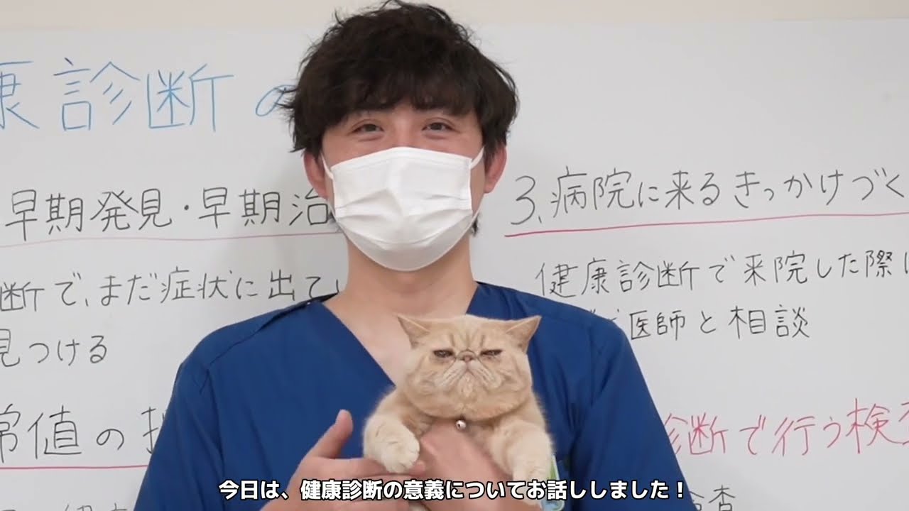 【ヒロ動物病院】イケオジ院長‼︎ 健康診断の意義について🐱🐶Part.1