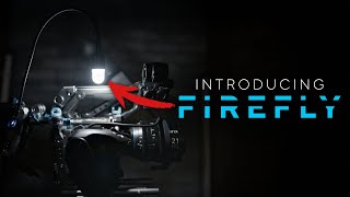 Dont Be Left In the Dark! | Firefly D-Tap Light