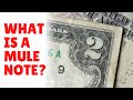 RARE DOLLAR BILLS: What is a Mule Note?