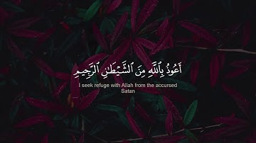 سبحان من رزقه هذا الخشوع | القارئ سالم الرويلي | سورة الرحمن كاملة 🍀🌿