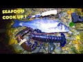 EPIC SEAFOOD COOK UP ! Foraged Big Lobster , Countless Bass ! And More - COASTAL FORAGING at Night