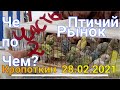 Выставка-ярмарка или птичий рынок г.Кропоткин   28.02.2021 (часть 2)