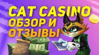Cat Casino - обзор и отзывы игроков про онлайн казино