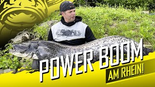 Welsmontage binden mit den Power-Booms X-Strong von Black Cat