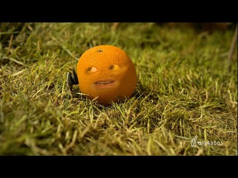 თავისუფლება ლიმონს!  - ბოსტანი - IV ეპიზოდი