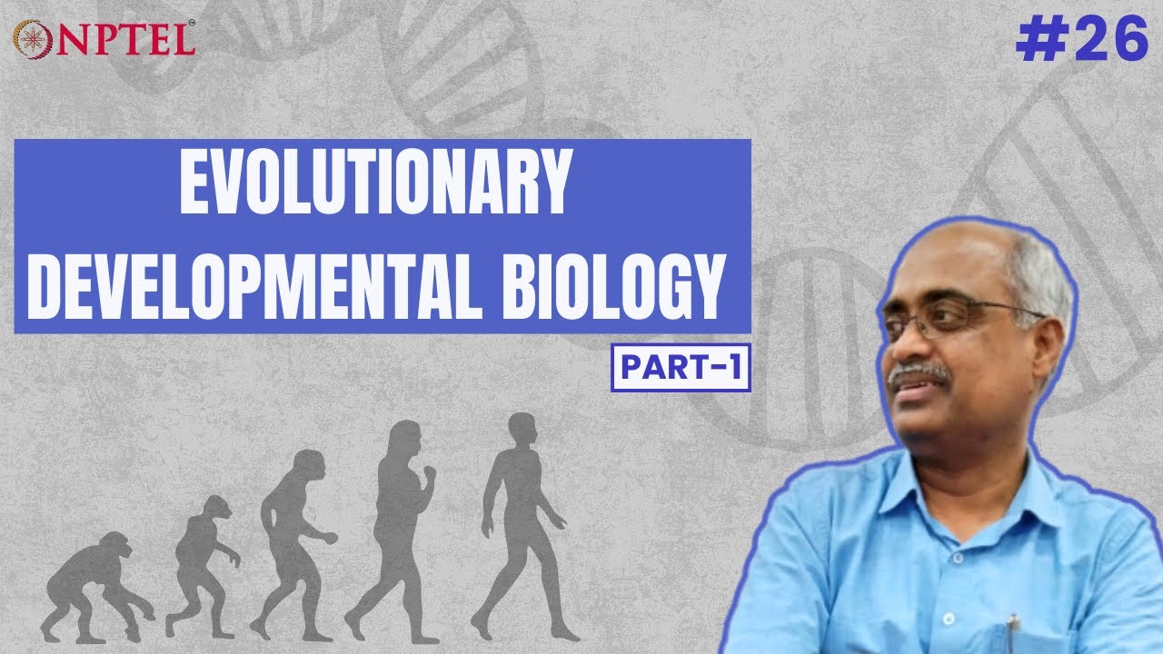 #26 Evolutionary Developmental Biology | Part 1 | Introduction to ...