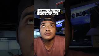 warna channa blue pulchra #channa