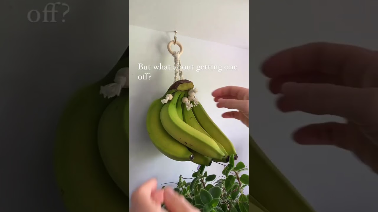 rewrite this title In case you were wondering! 🍌#kitchendecorideas #kitchenitems #bananas #fruitbasket #macramé rewrite this title In case you were wondering! 🍌#kitchendecorideas #kitchenitems #bananas #fruitbasket #macramé