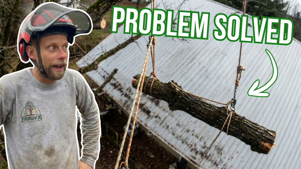 Oak limb removal over house | Dungrove Tree Service - YouTube