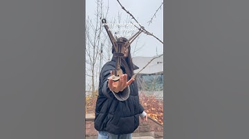 Tripod is a must-have, agree?#jollylook #aesthetic #pinholephotography