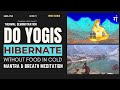 Do yogis hibernate without food  ganesha bija mantra  hunger pathways