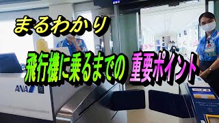 ここだけは押さえておいてほしい 飛行機に乗るときに気を付けておきたいポイント！【空港 乗り方 チェックイン 搭乗 保安検査】