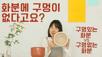 물구멍 없는 화분, 이렇게 사용하세요! 플랜테리어 기본! 화분 고르기 부터 시작하세요! 아파트 식물 인테리어 실내공기정화식물