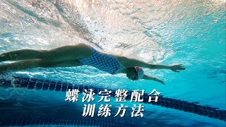 美女蝶泳完整配合和训练方法