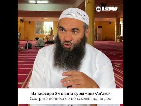 Может ли человек увидеть ангелов? #shorts Ринат Абу Мухаммад