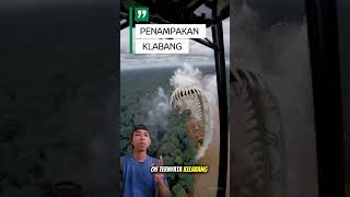 Sosok Menyeramkan