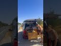 Leuke beelden van onze klanten die een prachtige reis door Spanje hebben gemaakt! 🇪🇸✨