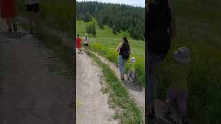 . подвальские террасы