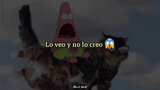 ay no puede ser, lo veo y no lo creo! 😱🤙🏿 letra
