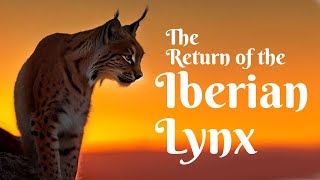 The Return of the Iberian Lynx #bigcats #cats #europe by BENILANDIA 120 views 9 months ago 5 minutes, 9 seconds