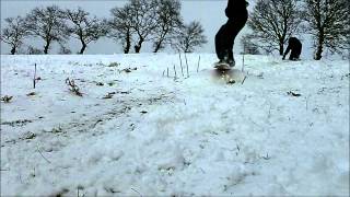 Session SnowSkate - 2013