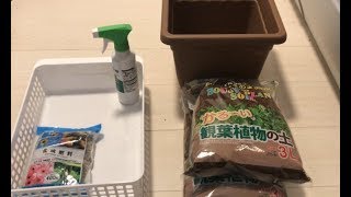 100均で園芸セット買って来た！~ animal diary garden ~