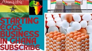 STARTING EGGS BUSINESS IN GHANA #ghananews #eggbusiness