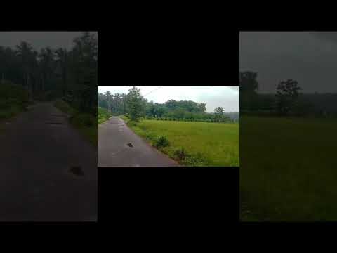 #ഏന്റെ നാടിന്റെ ഭംഗി #shorts #oldisgoldsongs  #mykeralacom