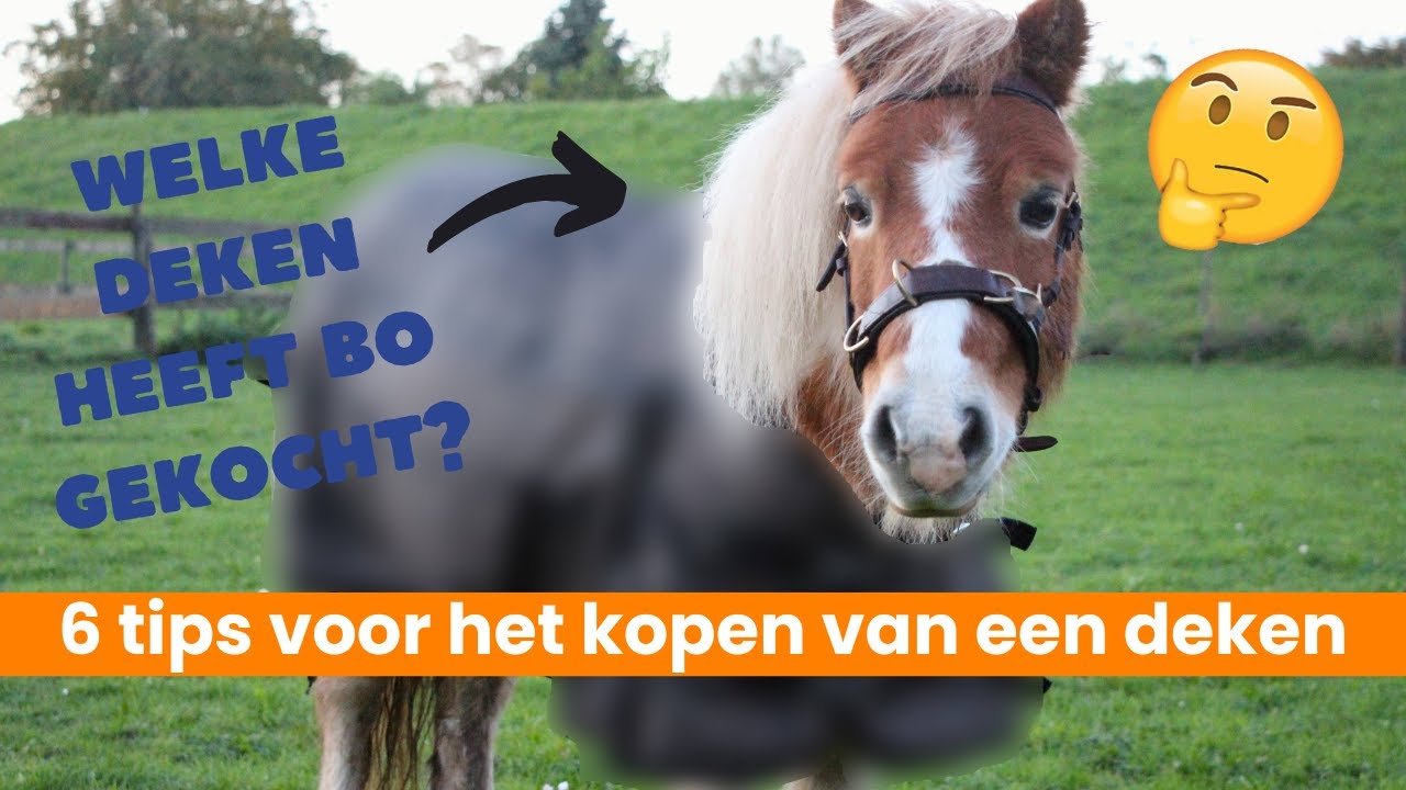 Tips voor het kopen van een deken voor je paard 🐴 | EPPLEJECK