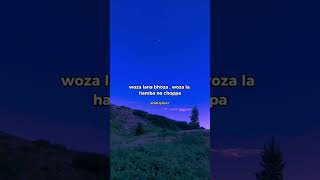 Royal Musiq  031 Choppa  Djy Biza Chomie  amapiano foryou foryou trendingshorts trending