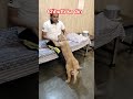 dog training#🐕#video#share#viral#subscribe#contact#7988150626
