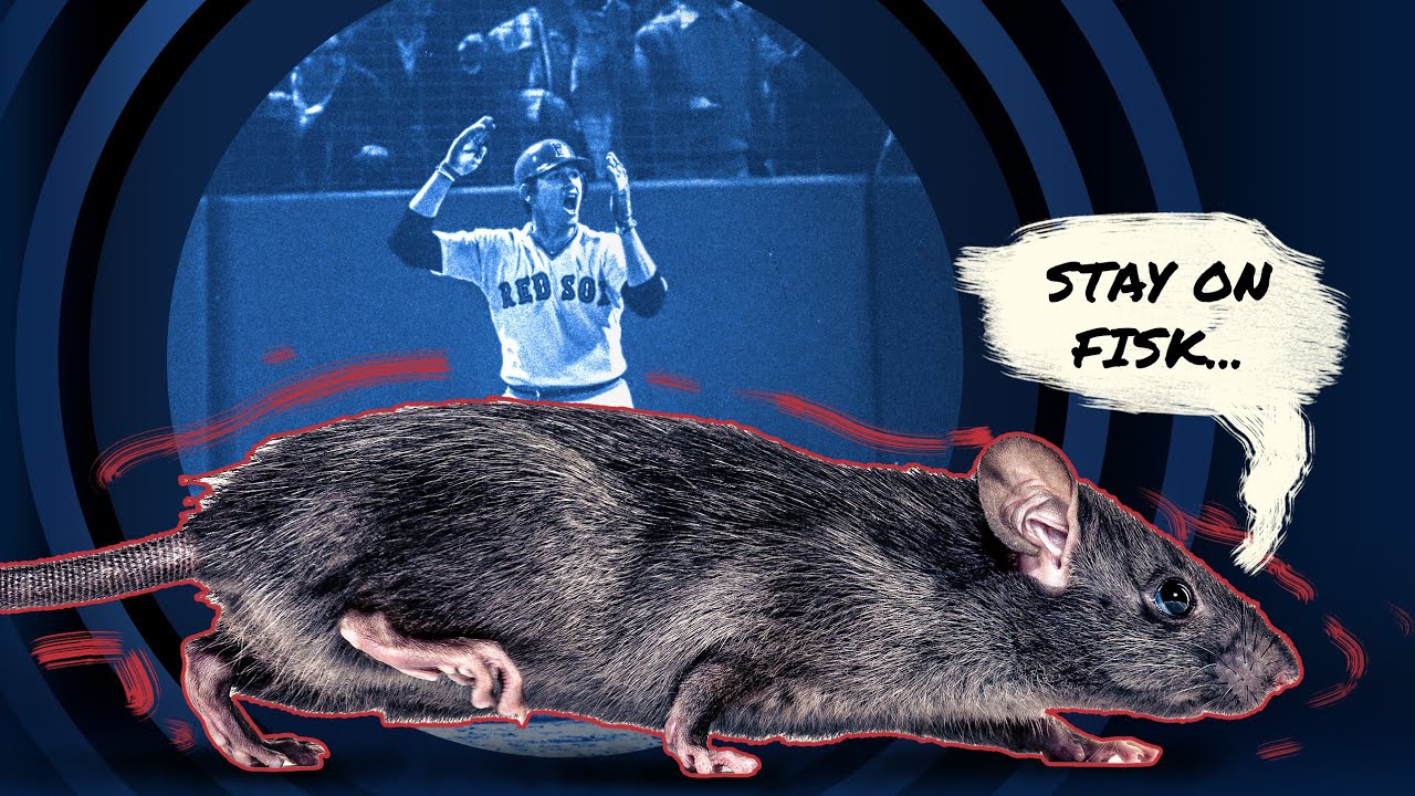 How a RAT helped the world see Carlton Fisk wave the ball fair