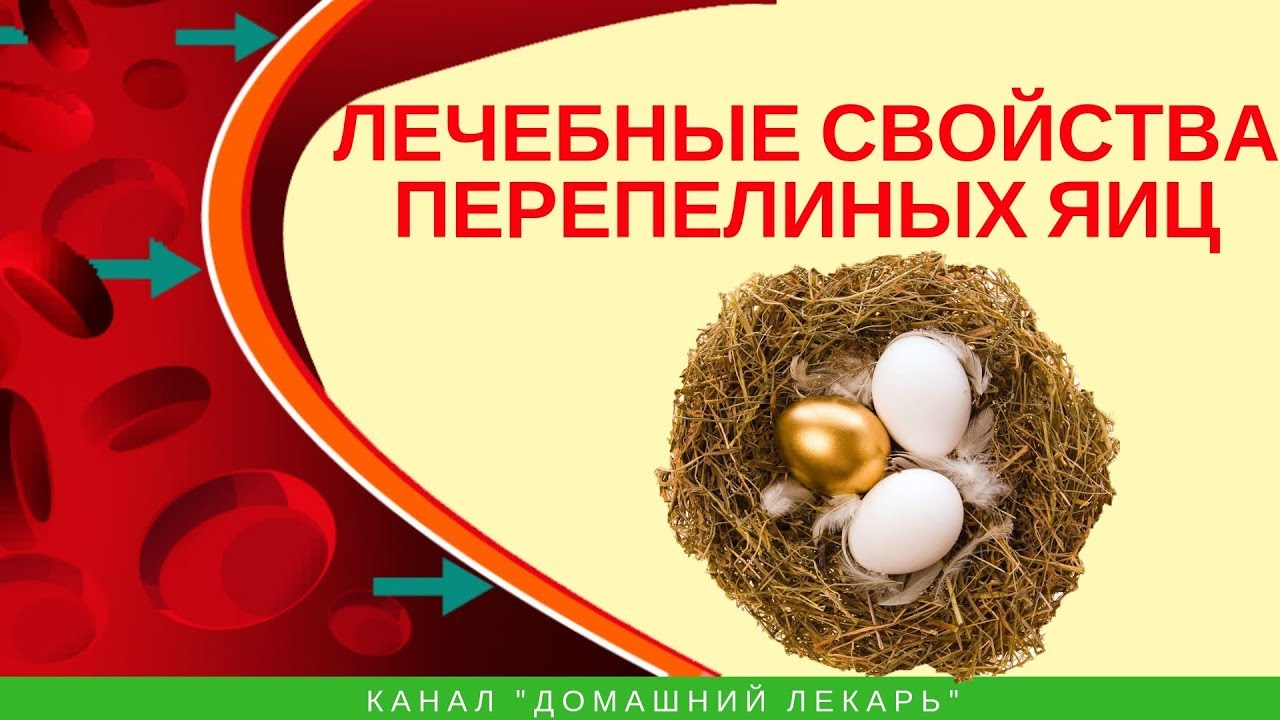 Сколько холестерина в яйце. Холестерин в перепелиных яйцах. Холестерин в яйцах. Лекарственные яйца. Лечебные свойства перепелиных яиц.