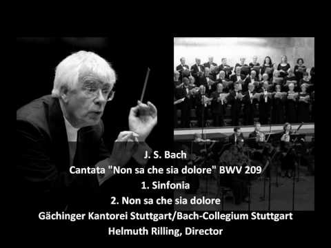 Helmut Rilling