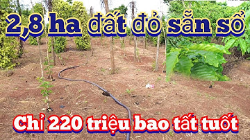 Cần bán gấp 2,8 ha đất đỏ bằng phẳng sẵn sổ đỏ công chứng ngay  | đất gia lai giá rẻ | nhà ở thổ cư