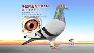 【歐洲特賣】B24-3005244