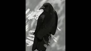 #crow digital painting #procreate #timelapse