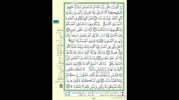 الصفحة ٤٨٠ من القرآن الكريم...القارئ د.بريك سعد بريك